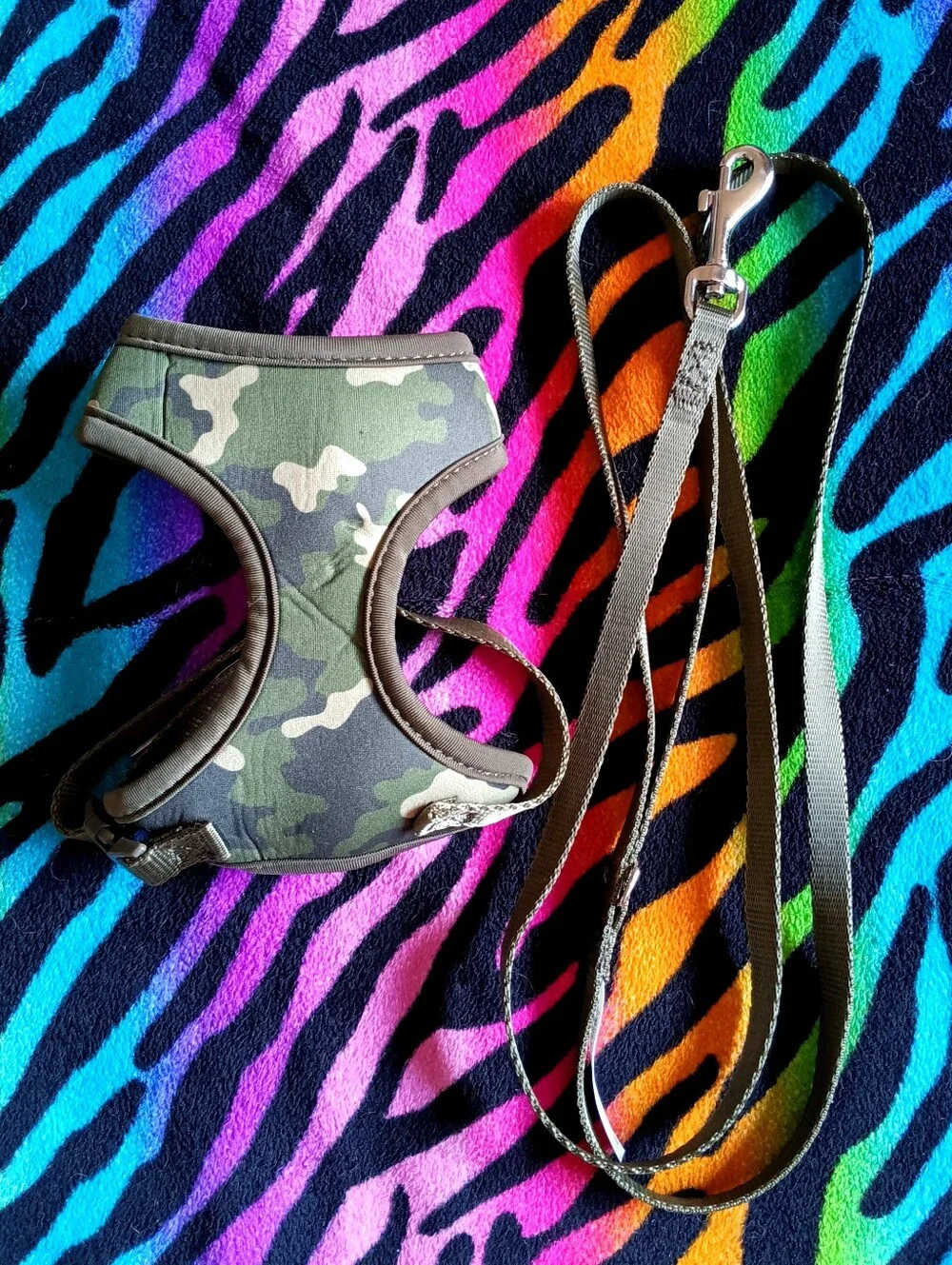 🖤 Bond & Co. Camo Print Cat Harness Leash Set Small S/M Medium Camoflauge Pets